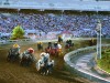 Chuckwagon Race vor großer Arena. <br>© Calgary Stampede