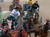 Die Chuckwagon Races erinnern an römische Wagenrennen. <br>© Calgary Stampede