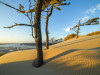 Die Oregon Dunes zeigen sich am Abend im besten Licht. 
<br>© Christian Heeb