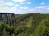 KINZUA BRIDGE STATE PARK, PENNSYLVANIA <br>Der Kinzua Bridge State Park ist nur 133 Hektar groß und ein echtes Kleinod. Man ist hier völlig allein mit sich und der Natur. Benannt ist  der State Park nach der Kinzua Bridge, die früher Teil der Erie Railroad war. Seit 1975 ist die Brücke ein National Historic Civil Engineering Landmark.  2003 wurde sie durch einen Tornado teilweise zerstört. Auf dem verbliebenen Stück ist mittlerweile eine Aussichtsplattform errichtet. <br>Lieblingsplatz von: <b>S. Walther (Text/Bild)</b><br>