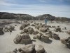 BISTI WILDERNESS, NEW MEXICO<br>Mein Lieblingsplatz ist die Bisti Wilderness südlich von Farmington in New Mexico. Wer Wüste und Hoodoos (Gesteinssäulen) auf einer einsamen Wanderung in unberührter Natur erleben möchte, ist hier genau richtig. Man wandert stundenlang in den Badlands zwischen den weißgrauen Hoodootälern hindurch, wobei das nächste Tal immer spektakulärer als das vorige ist. <br>Lieblingsplatz von: <b>G. Schmid (Text/Bild)</b><br>