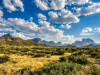 Die Weite im Big Bend National Park. <br>© Mick Haupt