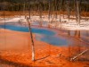 YELLOWSTONE NATIONAL PARK, WYOMING<br>Der Besuch im Yellowstone National Park war eine der intensivsten Naturerfahrungen, die ich in den USA erleben durfte. Das erste Mal Bären, Bisons, Elche und Wölfe in freier Wildbahn zu beobachten und zu fotografieren, war ein eindrucksvolles Gefühl, das durch die Schönheit des Parks noch verstärkt wurde. Die Geysire, die weitläufigen Wälder, die Täler, durch die die Herde Bisons zieht, sind nur einige der vielen Naturschauspiele, die im Yellowstone beobachtet werden können.<br>Lieblingsplatz von: <b>T. Gawrisch (Text/Bild)</b><br>