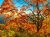 Harbststimmung am Blue Ridge Parkway, North Carolina<br>© Christian Heeb