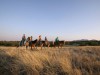 Viele Ranches bieten Touren auf dem Pferderücken. <br>© Arizona Tourism