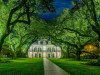 Oak Alley Plantation, Louisiana<br>© Christian Heeb