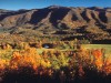 Tal von Cades Cove im Great  Smoky Mountains National Park, Tennessee<br>© Tennessee Tourism