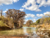 Zypressen am Guadalupe River. <br>© Thomas Park