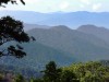 Waldlandschaft im Great  Smoky Mountains National Park, Tennessee<br>© Tennessee Tourism