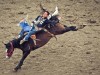 Kampf Mann gegen Pferd - meist gewinnt das Pferd. <br>© Calgary Stampede