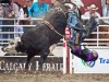 Knochenbrüche sind keine Seltenheit. <br>© Calgary Stampede